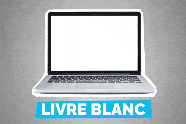 Téléchargement livre blanc Téléchargement livre blanc